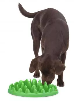 Northmate® Green - interaktiver Napf - große Hunde